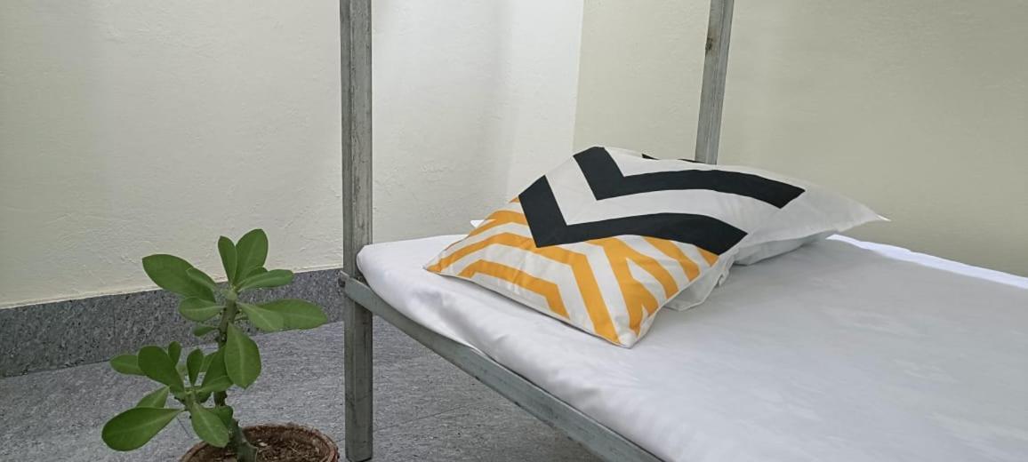 Nikunj Dorme Hostel Rājgīr Екстериор снимка